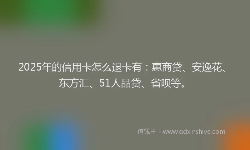 2025年的信用卡怎么退卡有：惠商贷、安逸花、东方汇、51人品贷、省呗等。