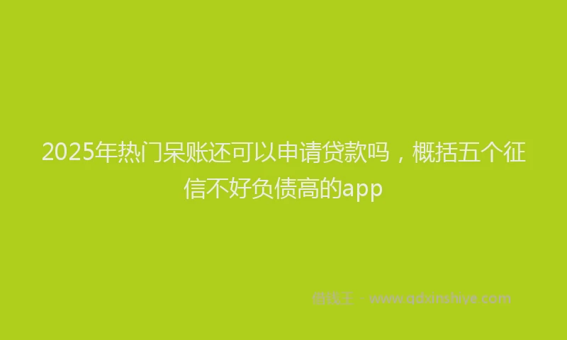 2025年热门呆账还可以申请贷款吗，概括五个征信不好负债高的app