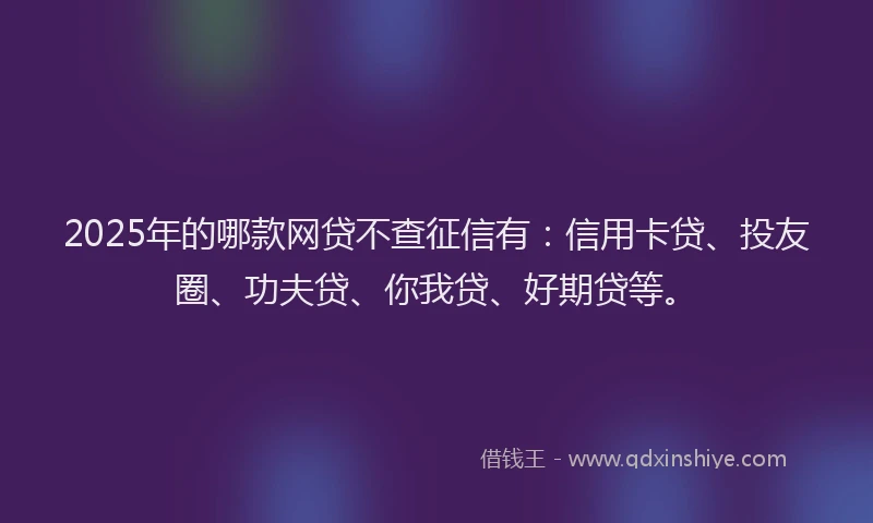 2025年的哪款网贷不查征信有：信用卡贷、投友圈、功夫贷、你我贷、好期贷等。