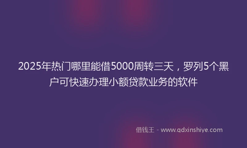 2025年热门哪里能借5000周转三天，罗列5个黑户可快速办理小额贷款业务的软件