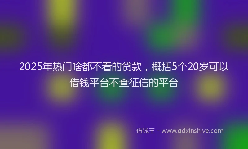 2025年热门啥都不看的贷款，概括5个20岁可以借钱平台不查征信的平台