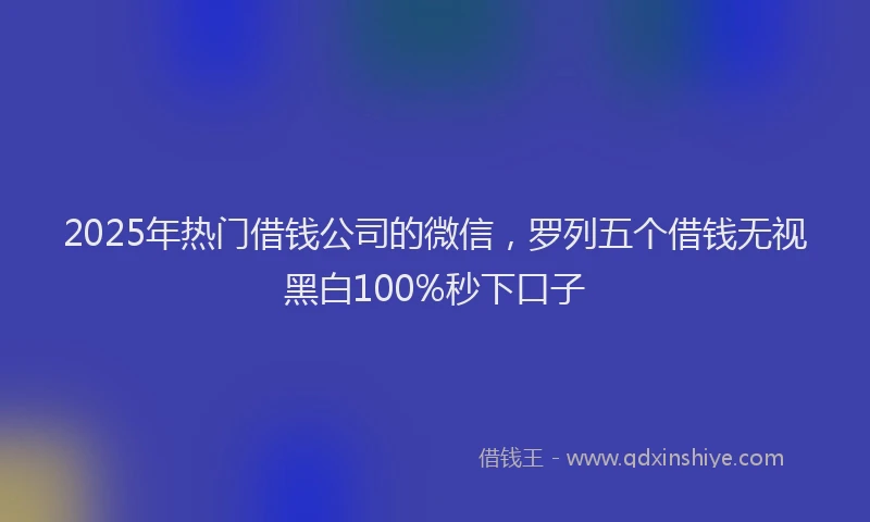 2025年热门借钱公司的微信，罗列五个借钱无视黑白100%秒下口子