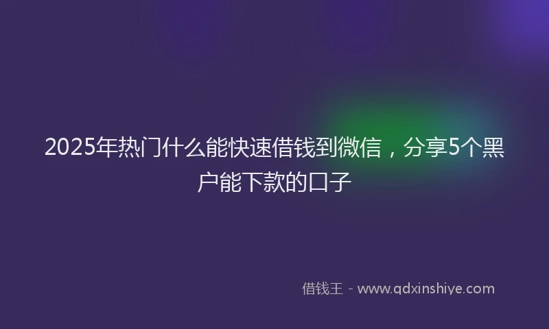 2025年热门什么能快速借钱到微信，分享5个黑户能下款的口子