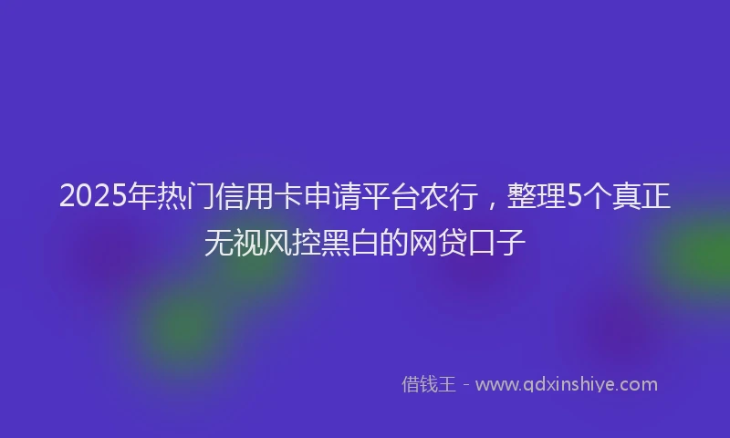 2025年热门信用卡申请平台农行，整理5个真正无视风控黑白的网贷口子