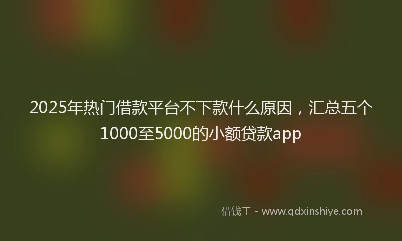 2025年热门借款平台不下款什么原因，汇总五个1000至5000的小额贷款app