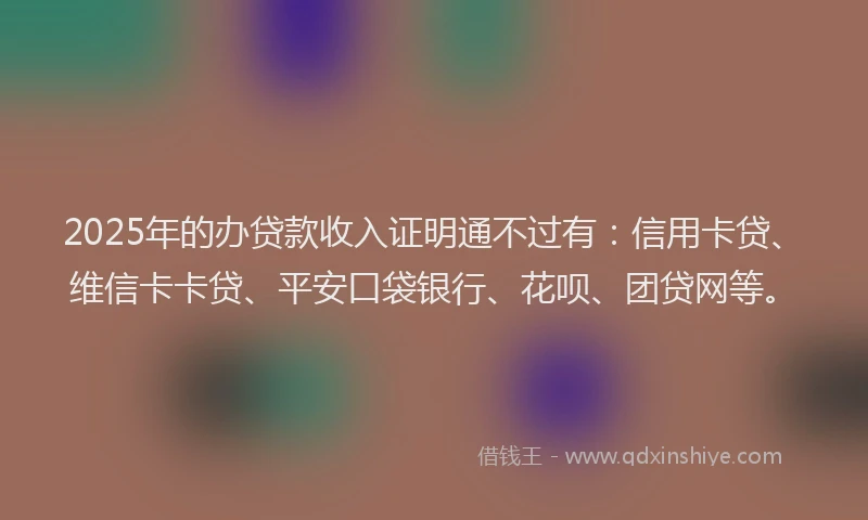 2025年的办贷款收入证明通不过有：信用卡贷、维信卡卡贷、平安口袋银行、花呗、团贷网等。