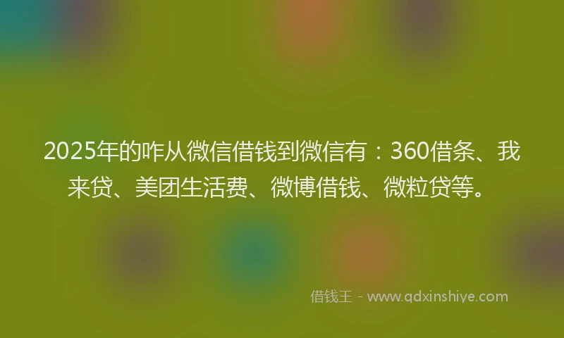 2025年的咋从微信借钱到微信有：360借条、我来贷、美团生活费、微博借钱、微粒贷等。