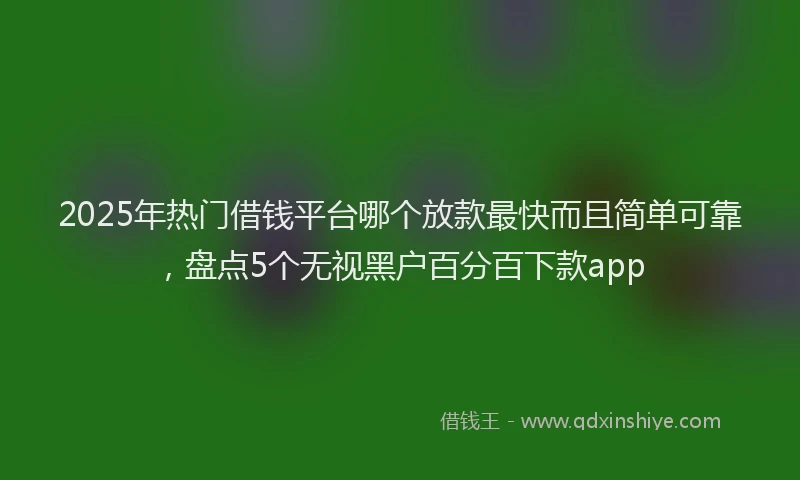 2025年热门借钱平台哪个放款最快而且简单可靠,盘点5个无视黑户百分百下款app