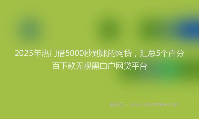 2025年热门借5000秒到账的网贷，汇总5个百分百下款无视黑白户网贷平台
