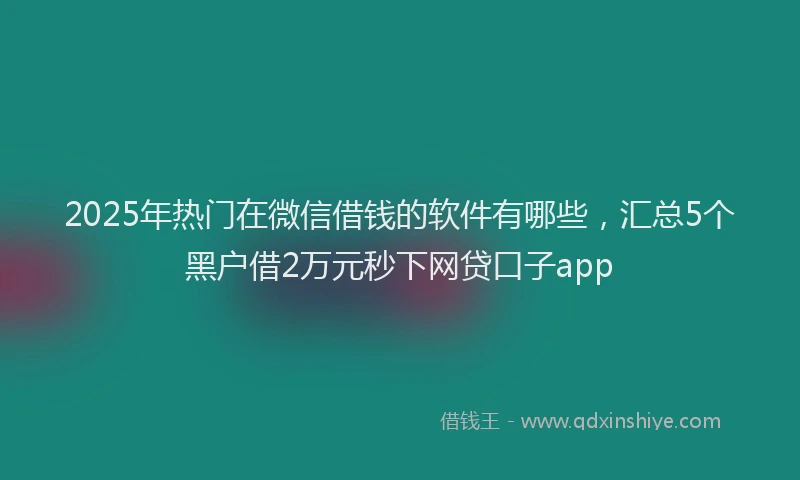 2025年热门在微信借钱的软件有哪些，汇总5个黑户借2万元秒下网贷口子app
