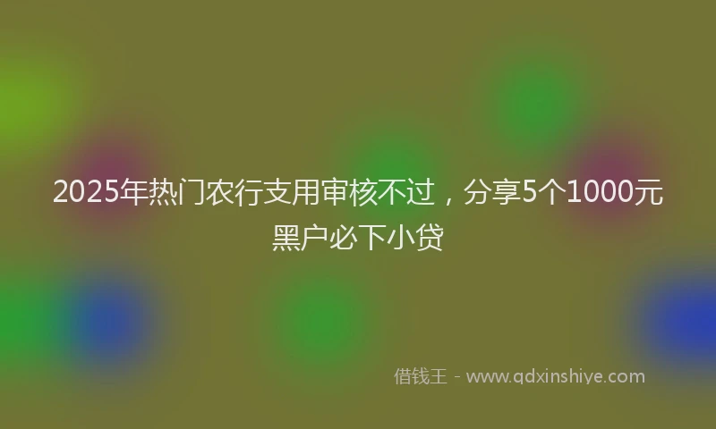2025年热门农行支用审核不过，分享5个1000元黑户必下小贷