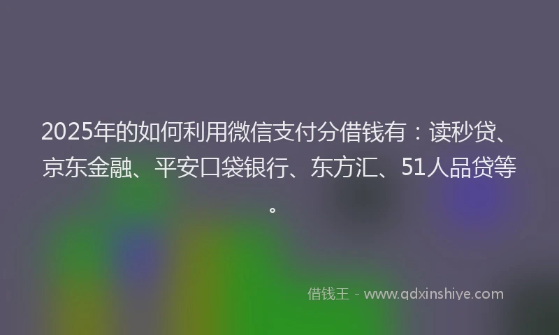 2025年的如何利用微信支付分借钱有：读秒贷、京东金融、平安口袋银行、东方汇、51人品贷等。