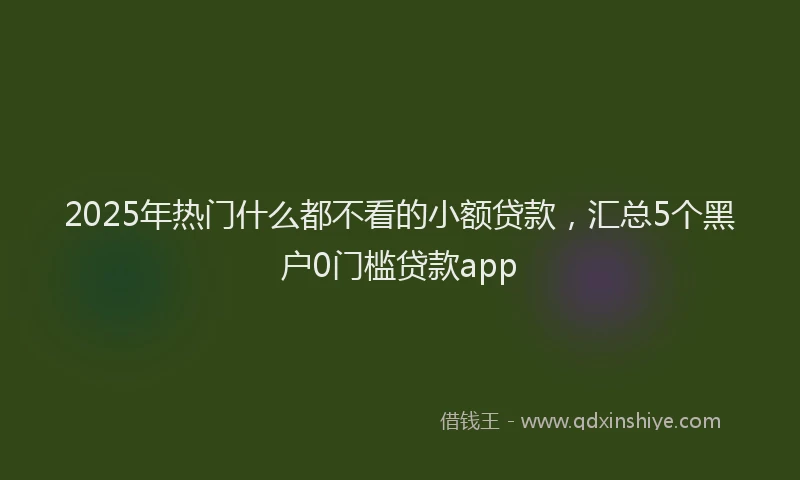 2025年热门什么都不看的小额贷款，汇总5个黑户0门槛贷款app