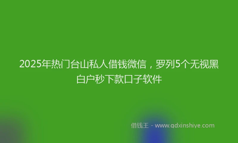 2025年热门台山私人借钱微信，罗列5个无视黑白户秒下款口子软件