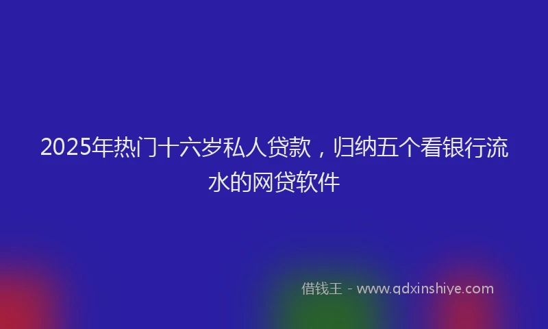 2025年热门十六岁私人贷款，归纳五个看银行流水的网贷软件