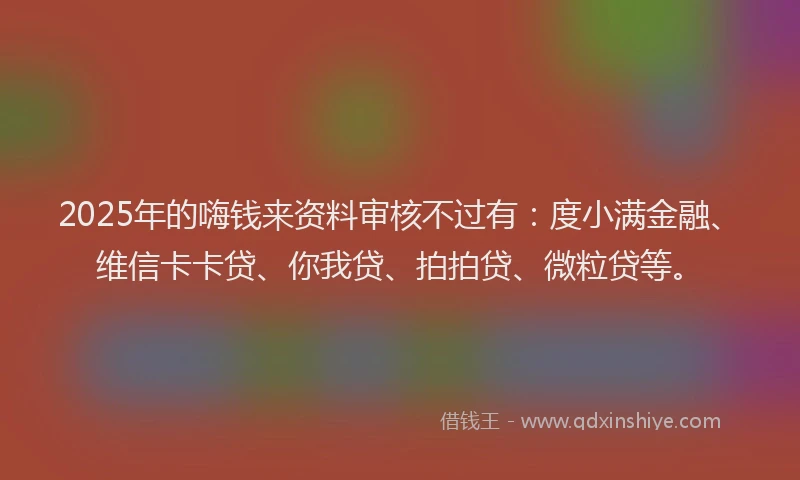 2025年的嗨钱来资料审核不过有：度小满金融、维信卡卡贷、你我贷、拍拍贷、微粒贷等。