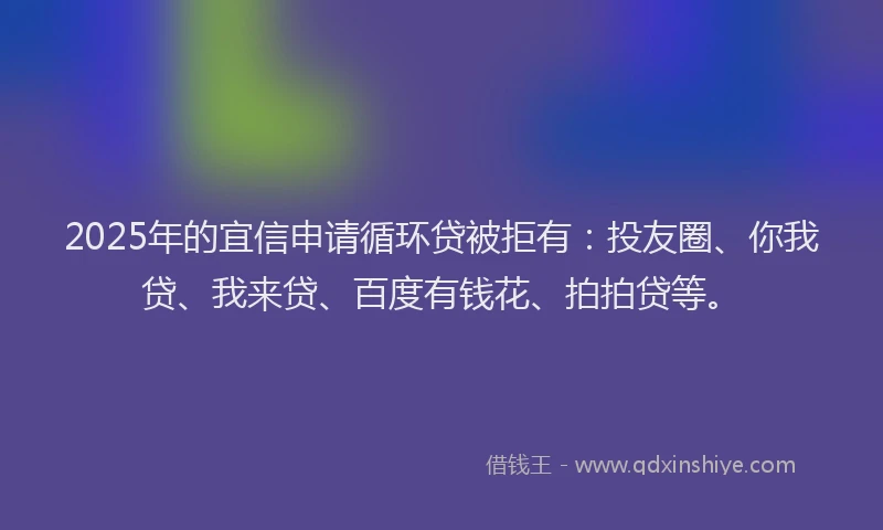 2025年的宜信申请循环贷被拒有：投友圈、你我贷、我来贷、百度有钱花、拍拍贷等。