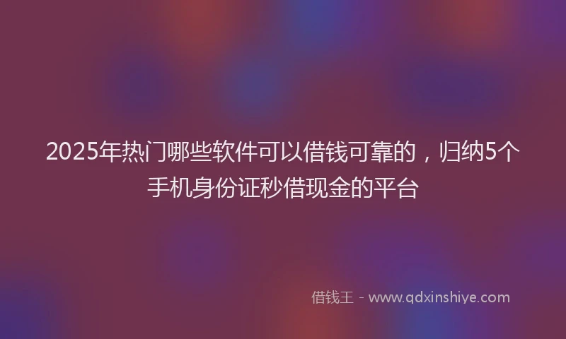 2025年热门哪些软件可以借钱可靠的，归纳5个手机身份证秒借现金的平台