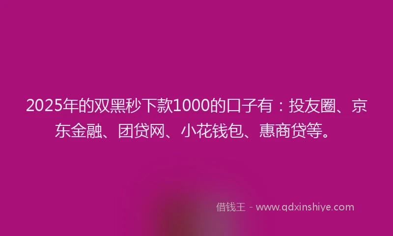 2025年的双黑秒下款1000的口子有：投友圈、京东金融、团贷网、小花钱包、惠商贷等。
