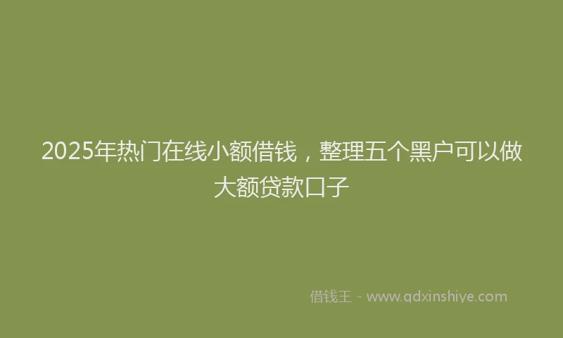 2025年热门在线小额借钱，整理五个黑户可以做大额贷款口子