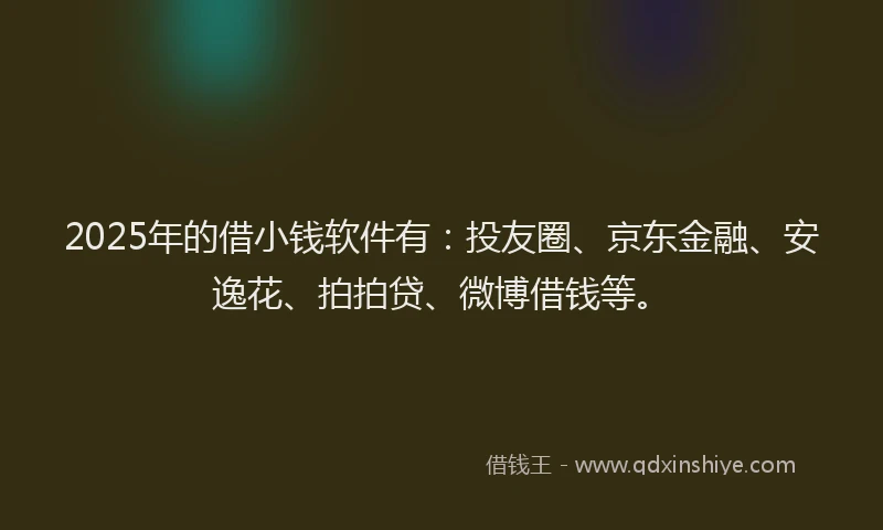 2025年的借小钱软件有：投友圈、京东金融、安逸花、拍拍贷、微博借钱等。