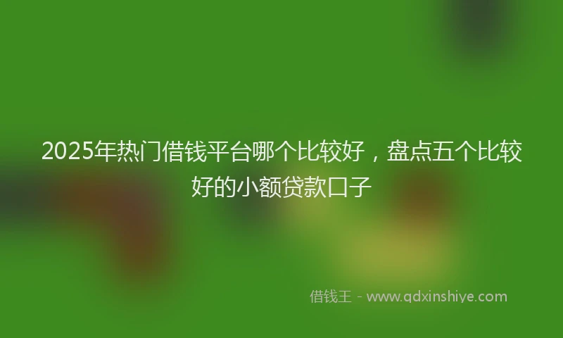2025年热门借钱平台哪个比较好，盘点五个比较好的小额贷款口子