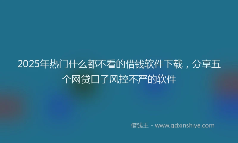2025年热门什么都不看的借钱软件下载，分享五个网贷口子风控不严的软件