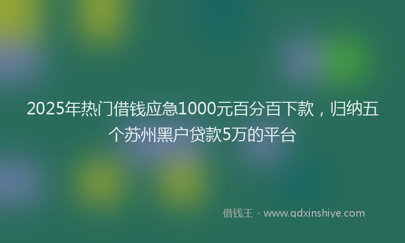 2025年热门借钱应急1000元百分百下款，归纳五个苏州黑户贷款5万的平台