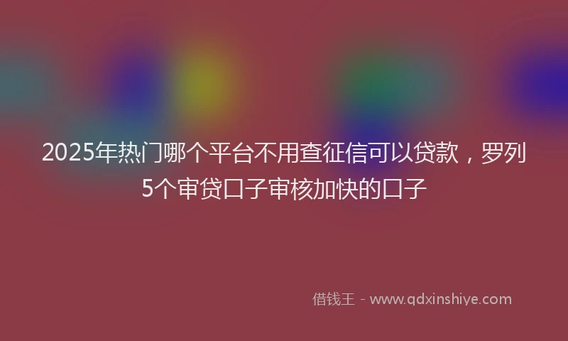 2025年热门哪个平台不用查征信可以贷款，罗列5个审贷口子审核加快的口子