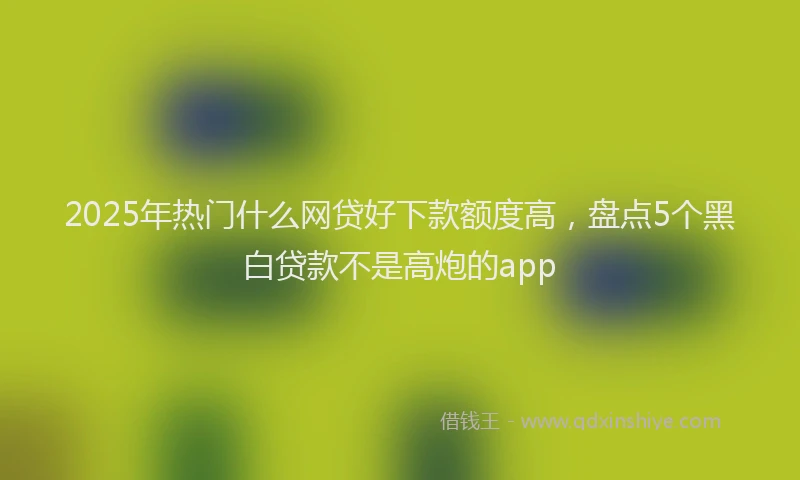 2025年热门什么网贷好下款额度高，盘点5个黑白贷款不是高炮的app
