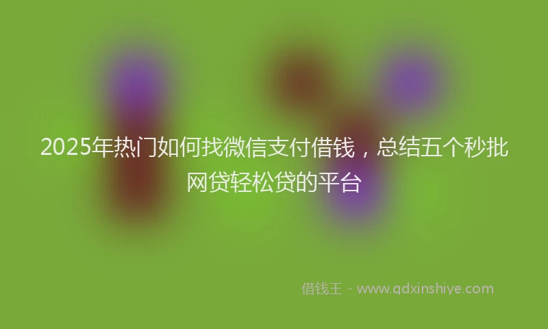 2025年热门如何找微信支付借钱，总结五个秒批网贷轻松贷的平台