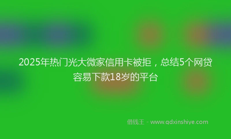 2025年热门光大微家信用卡被拒，总结5个网贷容易下款18岁的平台