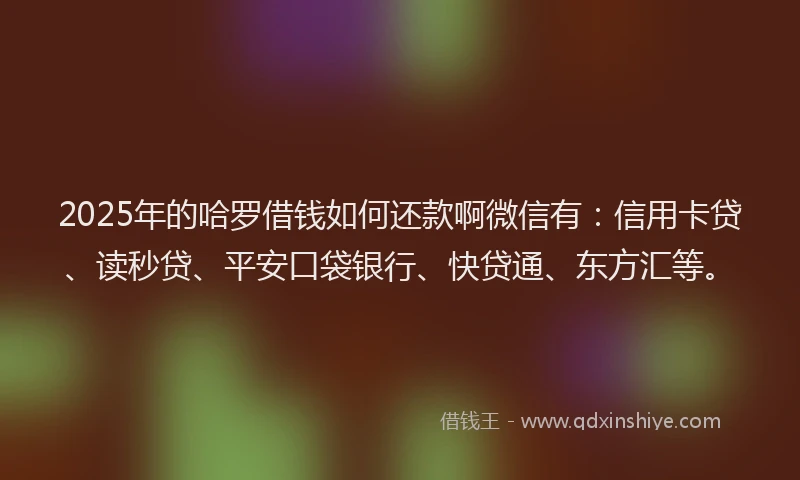 2025年的哈罗借钱如何还款啊微信有：信用卡贷、读秒贷、平安口袋银行、快贷通、东方汇等。