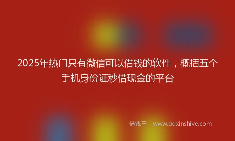 2025年热门只有微信可以借钱的软件，概括五个手机身份证秒借现金的平台