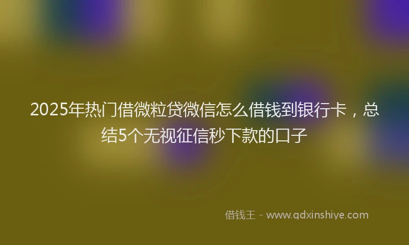 2025年热门借微粒贷微信怎么借钱到银行卡，总结5个无视征信秒下款的口子