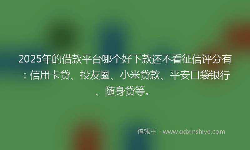 2025年的借款平台哪个好下款还不看征信评分有：信用卡贷、投友圈、小米贷款、平安口袋银行、随身贷等。