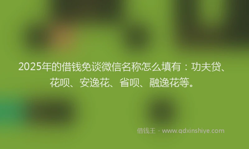 2025年的借钱免谈微信名称怎么填有：功夫贷、花呗、安逸花、省呗、融逸花等。