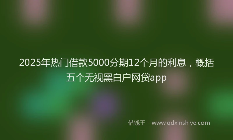 2025年热门借款5000分期12个月的利息，概括五个无视黑白户网贷app