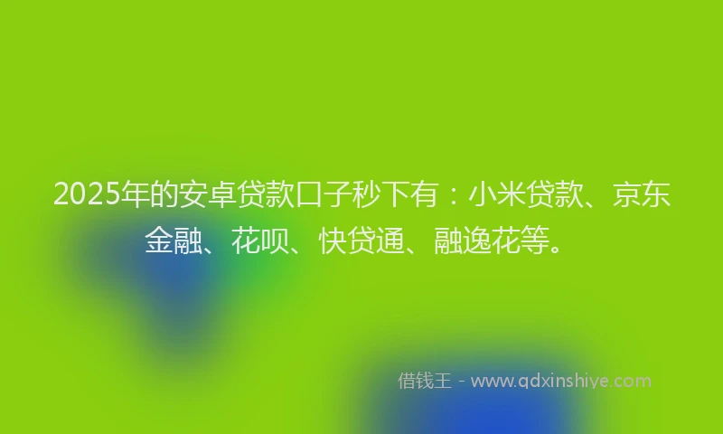 2025年的安卓贷款口子秒下有：小米贷款、京东金融、花呗、快贷通、融逸花等。