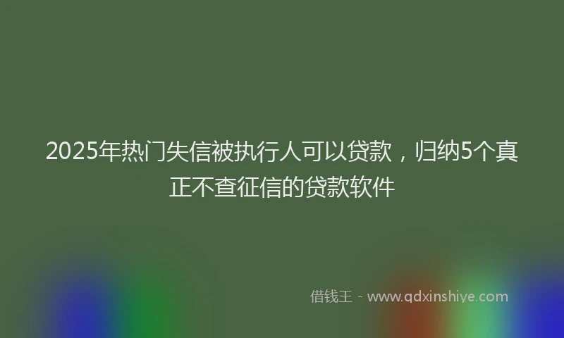 2025年热门失信被执行人可以贷款，归纳5个真正不查征信的贷款软件