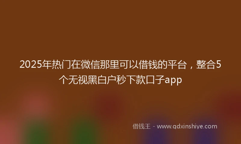 2025年热门在微信那里可以借钱的平台，整合5个无视黑白户秒下款口子app
