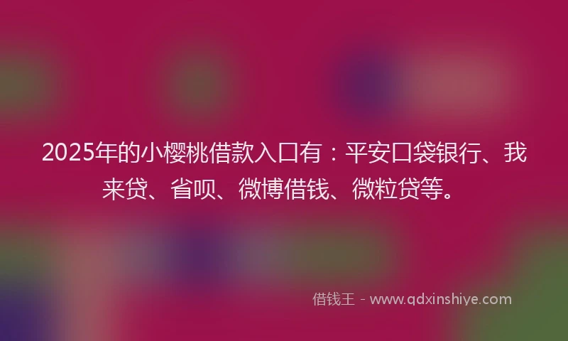 2025年的小樱桃借款入口有：平安口袋银行、我来贷、省呗、微博借钱、微粒贷等。