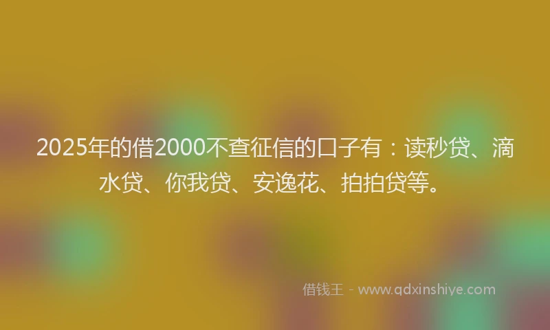 2025年的借2000不查征信的口子有：读秒贷、滴水贷、你我贷、安逸花、拍拍贷等。