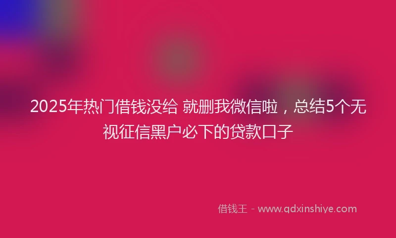 2025年热门借钱没给 就删我微信啦，总结5个无视征信黑户必下的贷款口子