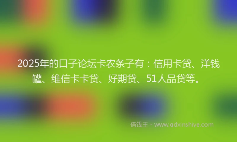 2025年的口子论坛卡农条子有：信用卡贷、洋钱罐、维信卡卡贷、好期贷、51人品贷等。