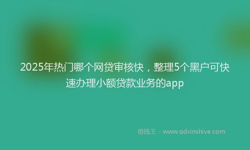 2025年热门哪个网贷审核快，整理5个黑户可快速办理小额贷款业务的app