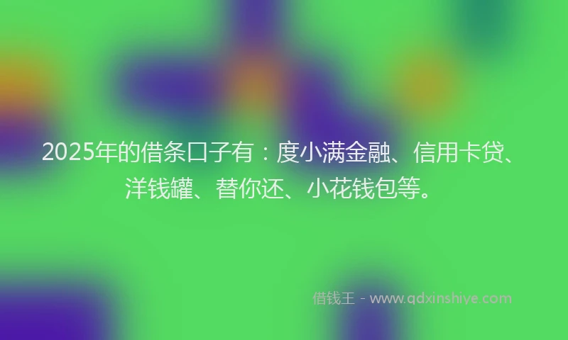 2025年的借条口子有：度小满金融、信用卡贷、洋钱罐、替你还、小花钱包等。