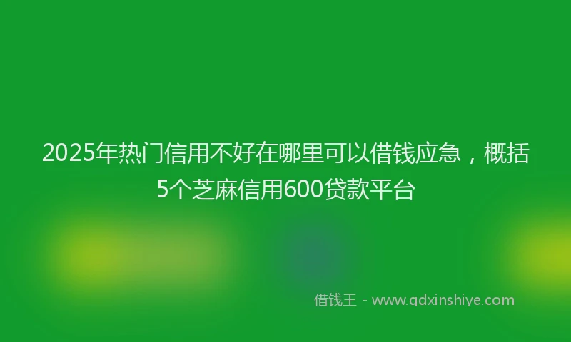 2025年热门信用不好在哪里可以借钱应急，概括5个芝麻信用600贷款平台