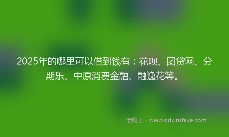2025年的哪里可以借到钱有：花呗、团贷网、分期乐、中原消费金融、融逸花等。