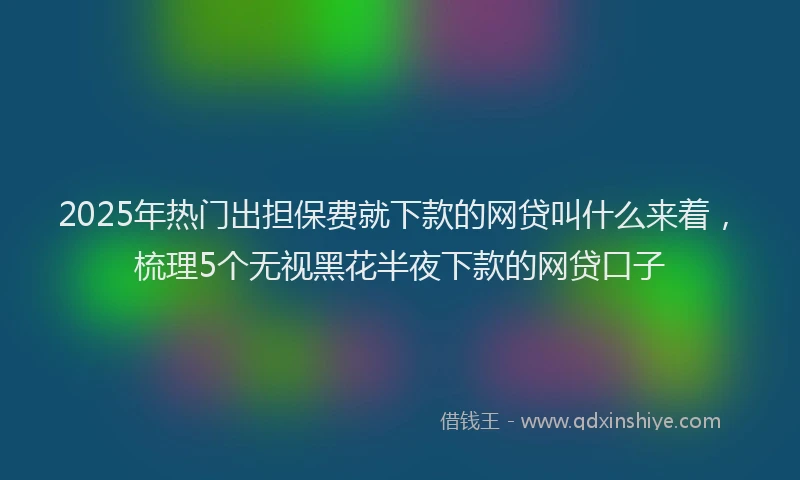 2025年热门出担保费就下款的网贷叫什么来着，梳理5个无视黑花半夜下款的网贷口子